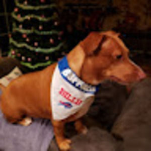 Meet your Posher, Handsome